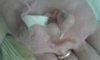 20161015_223036.jpg