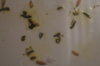 DSC04345.JPG