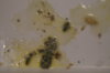 DSC04347.JPG