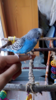 Screenshot_2016-10-16-10-08-50.png