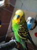 IMG_20161015_100843_535.jpg