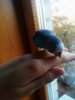 IMG_20161016_105513_085.jpg