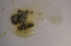 DSC04349.JPG