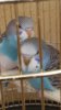 20161016_095433.jpg