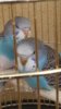 20161016_095439.jpg