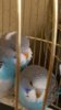 20161016_095650.jpg