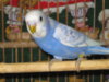 IMG_8661.JPG