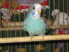 IMG_8668.JPG