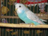 IMG_8654.JPG