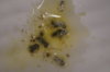 DSC04357.JPG