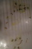 DSC04363.JPG