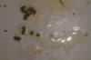DSC04364.JPG