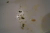 DSC04367.JPG