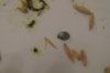 DSC04371.JPG