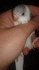 20161019_132012.jpg