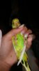 20161020_184722.jpg