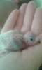 20161020_154758.jpg