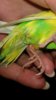 20161020_225912.jpg