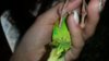 20161021_132638.jpg