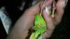 20161021_132633.jpg
