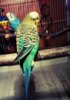 IMG_20161024_184337_804.jpg