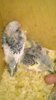 WP_20161019_002.jpg
