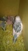 WP_20161021_001.jpg