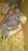 WP_20161019_005.jpg