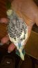 WP_20161022_007.jpg