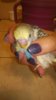 WP_20161024_004.jpg