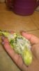 WP_20161024_025.jpg