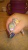 WP_20161024_037.jpg