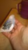 WP_20161024_008.jpg