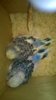 WP_20161022_003.jpg