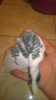 WP_20161024_009.jpg