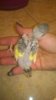 WP_20161024_034.jpg