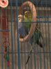 IMG-20161010-WA0006.jpg