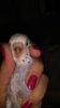 IMG_20161025_072141.jpg