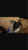 Screenshot_2016-10-26-14-11-35.png