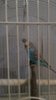 IMG_20161026_202305_BURST3.jpg