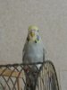 20161025_191634.jpg