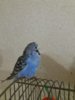 20161025_191556.jpg