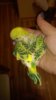 WP_20161026_021.jpg