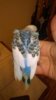 WP_20161026_010.jpg