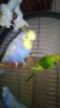 WP_20160604_002.jpg