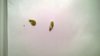 WP_20161030_015.jpg