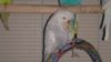 IMG_20161028_162556.jpg