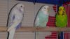 IMG_20161028_162602.jpg