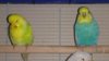 IMG_20161028_162608.jpg