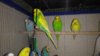 IMG_20161028_162629.jpg